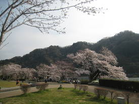 津久井湖