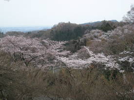 津久井湖