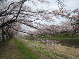 陵南公園
