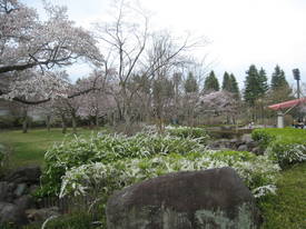 陵南公園