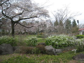 陵南公園