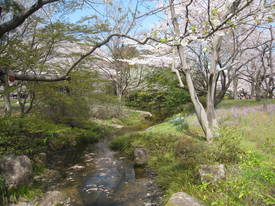 昭和記念公園