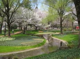 昭和記念公園