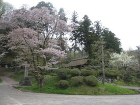 広徳寺
