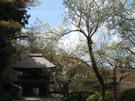 広徳寺