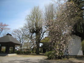 広徳寺