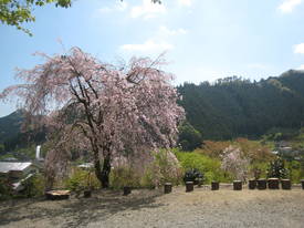 あきる野