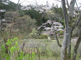 小峰公園