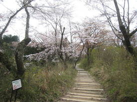 小峰公園