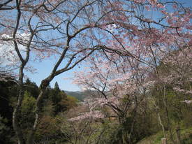 小峰公園