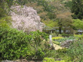 小峰公園