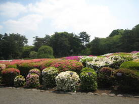 神代植物公園