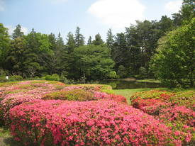 神代植物公園