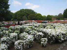 神代植物公園