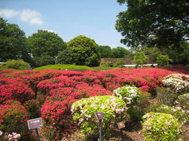 神代植物公園