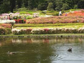 神代植物公園