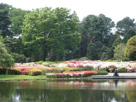 神代植物公園