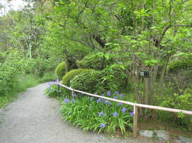 百草園