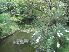 百草園