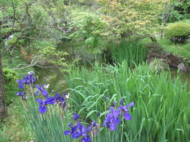百草園