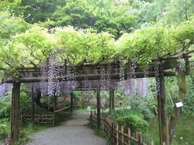 百草園