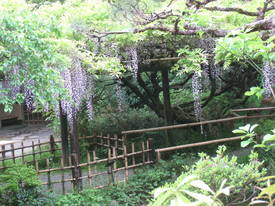 百草園