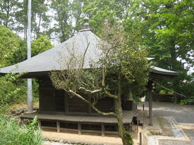 舘野