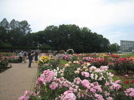 神代植物公園