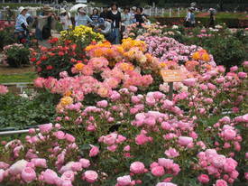 神代植物公園