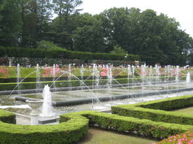 神代植物公園