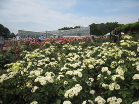 神代植物公園