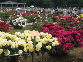 神代植物公園