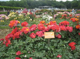 神代植物公園