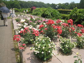 神代植物公園