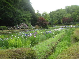 薬師池公園