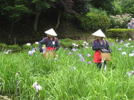 薬師池公園