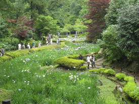 薬師池公園