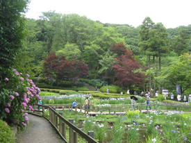 薬師池公園