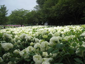 相模原北公園