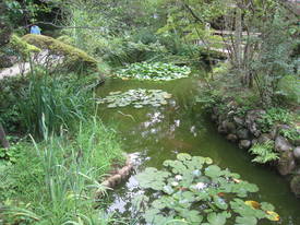 百草園