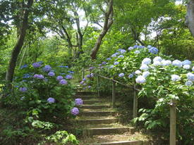 百草園